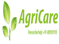 https://paruluniversity.ac.in/AGRICARE