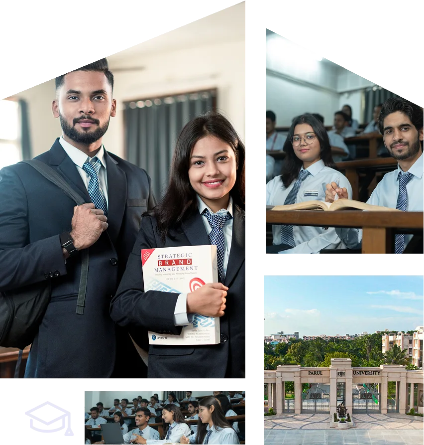 About Program