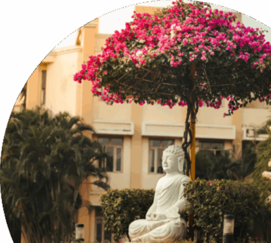 Celebrate. Explore. Shape Your Future