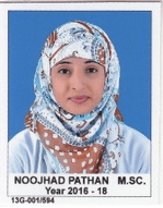 Mrs.Noojhad Khan Pathan